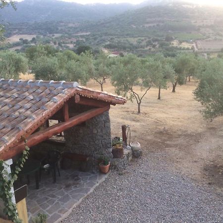 S'Umbra De S'Ozzastru Vila Orgosolo Exterior foto